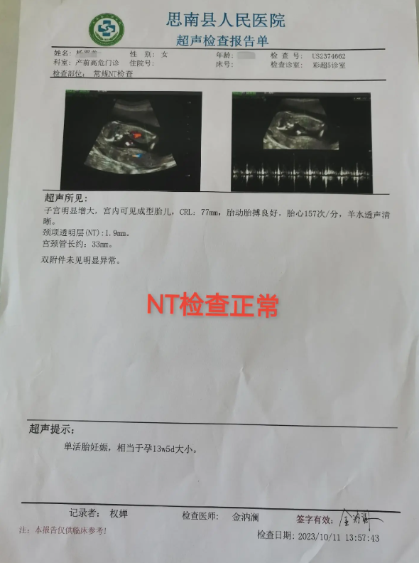 NT检查报告单